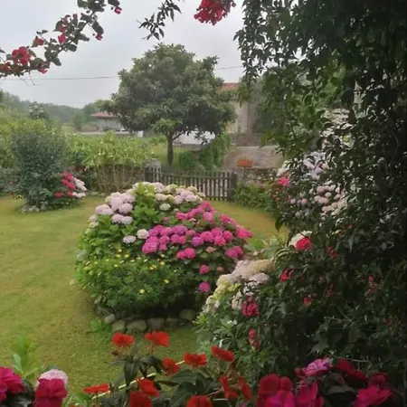 Casa Anita * Villanueva de Pria