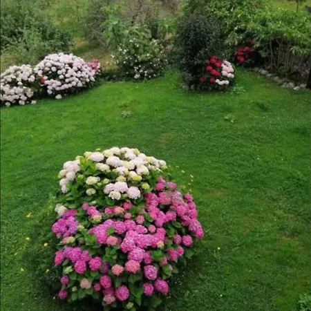 Casa Anita Hébergement de vacances Villanueva de Pria