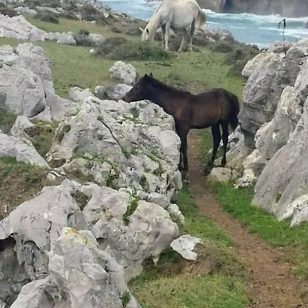 Hébergement de vacances Casa Anita